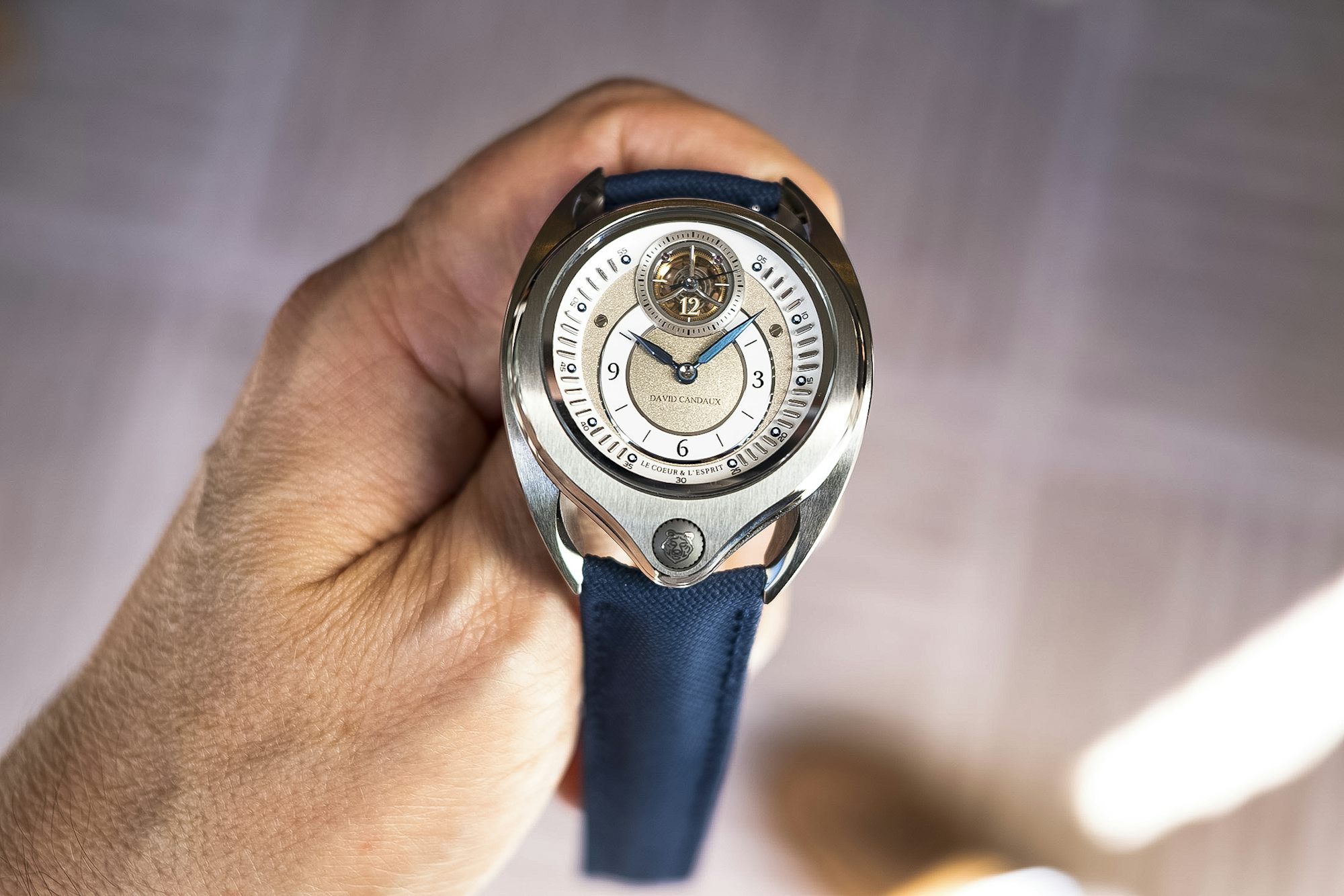 David Candaux DC12 Maverik